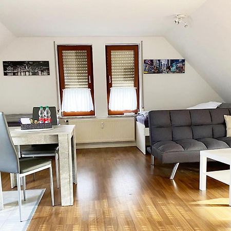Schoenes 1 Zimmer Apartment Mit Dachterrasse Glauchau Εξωτερικό φωτογραφία