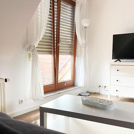 Schoenes 1 Zimmer Apartment Mit Dachterrasse Glauchau Εξωτερικό φωτογραφία