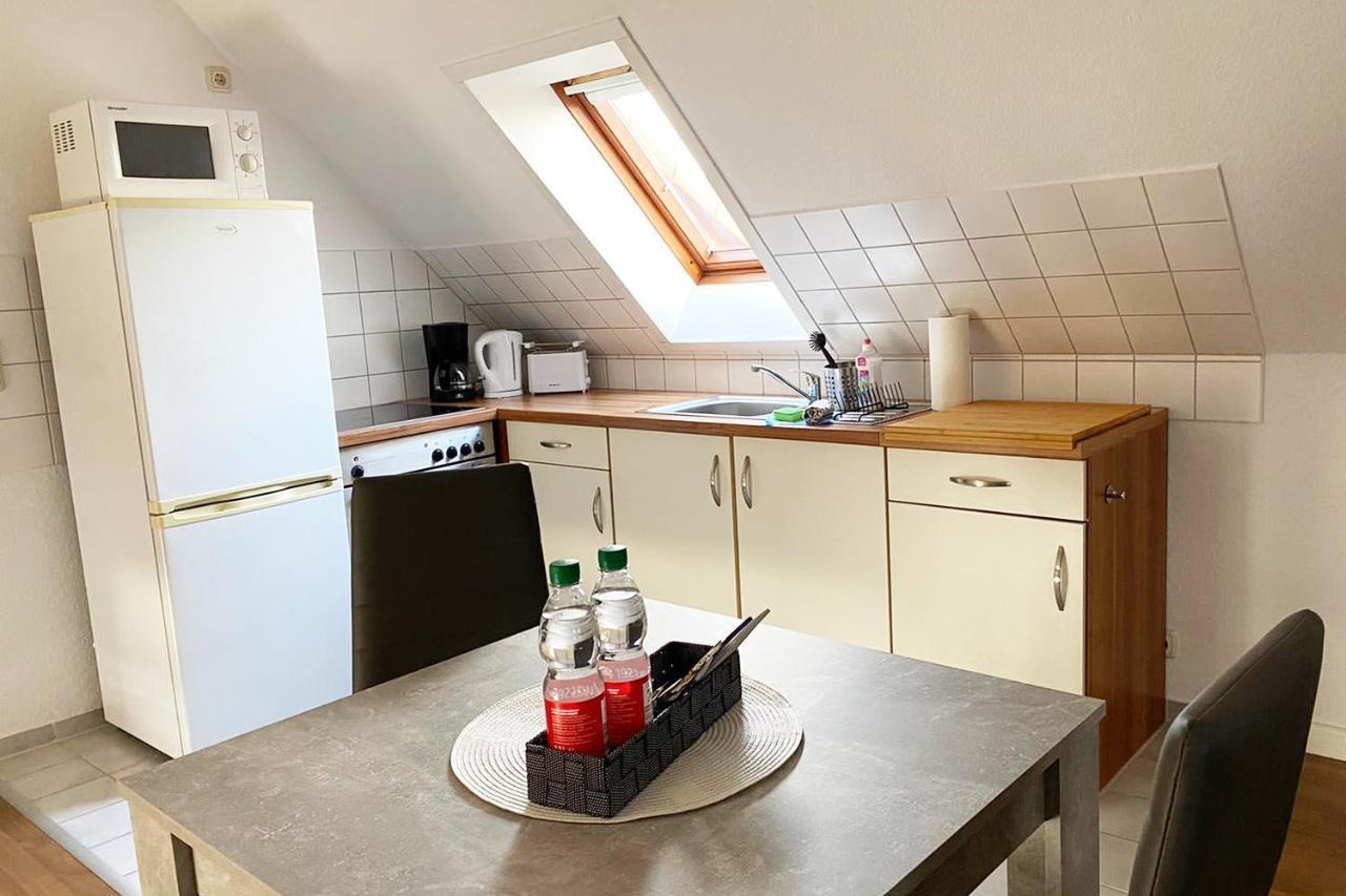 Schoenes 1 Zimmer Apartment Mit Dachterrasse Glauchau Εξωτερικό φωτογραφία